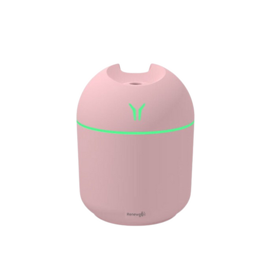 Mini Humidifier